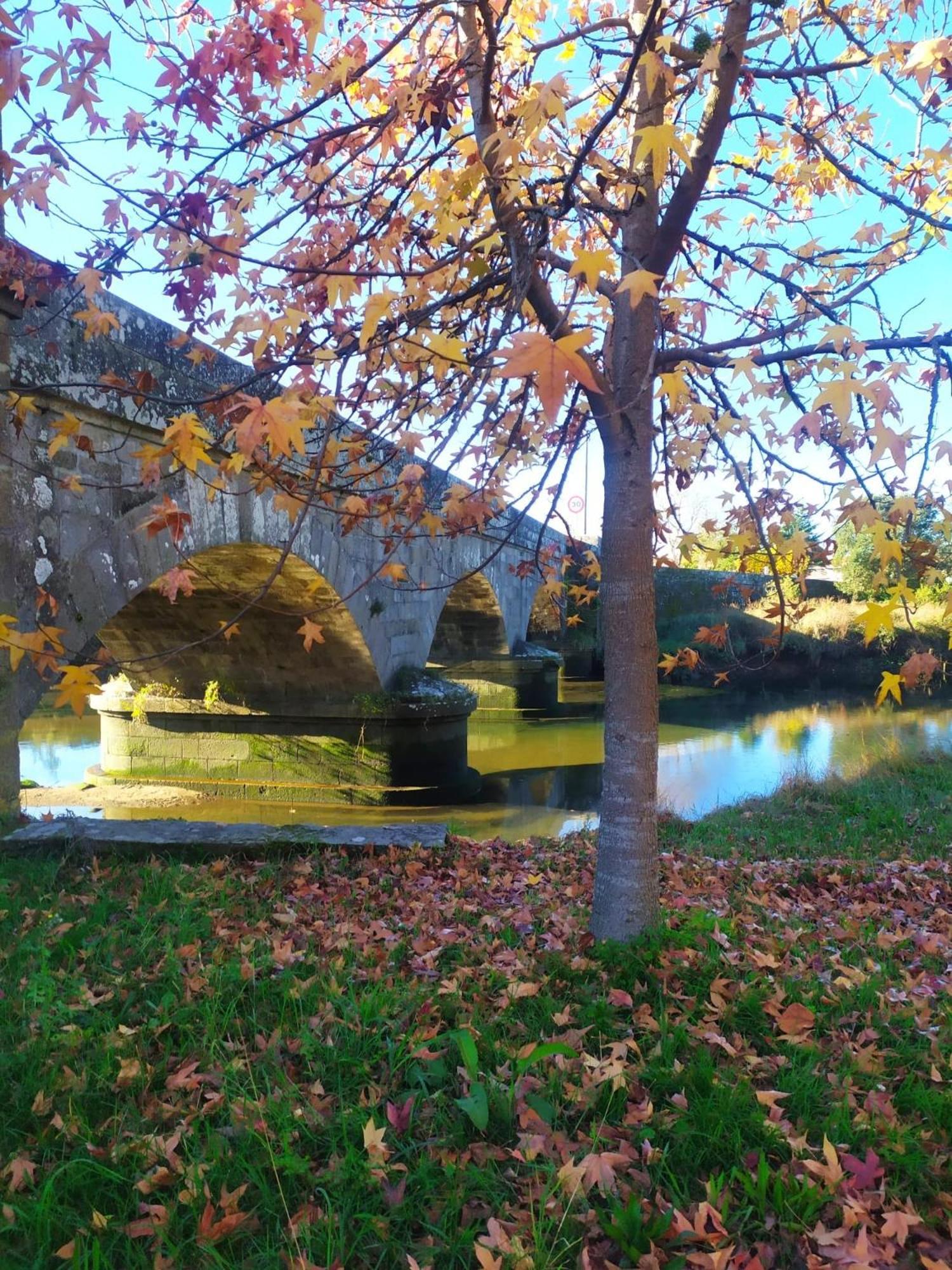 Villa Casa da Torre Rosal Esterno foto